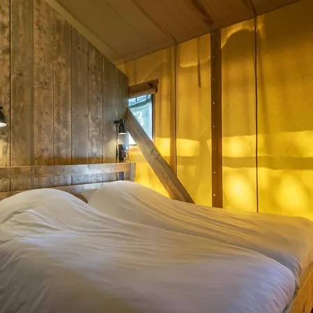 Safari Tent With Bathroom, On A In De Maasduinen